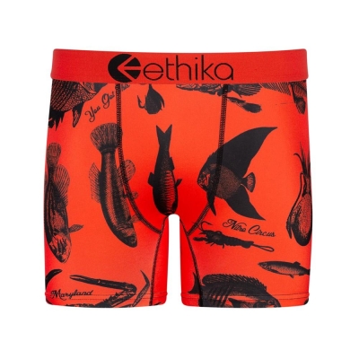 Ethika Underwear Orange S Online USA - Ethika Outlet Factory Shop